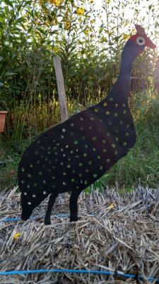 Silhouette Pintade de Numidie (modèle5)