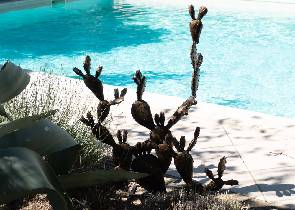 Les cactus