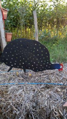 Silhouette Pintade de Numidie (modèle4)
