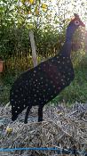 Silhouette Pintade de Numidie (modèle5)