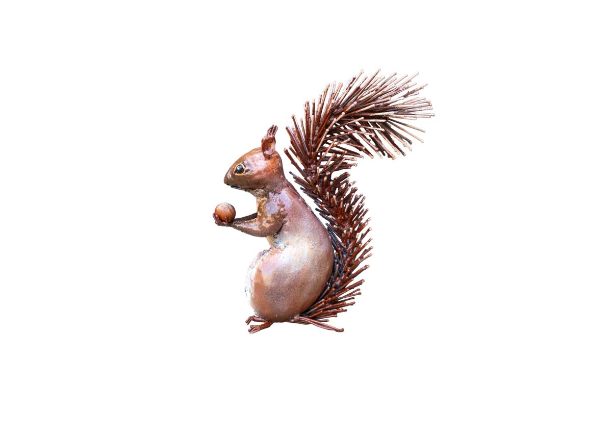 Les Animaux  4 pattes